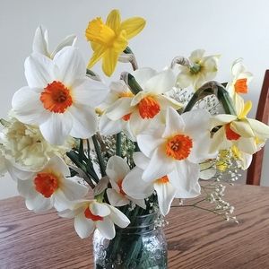 Meet your Posher, Ginger